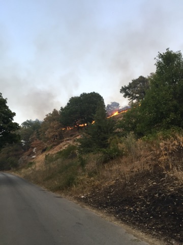 Incendio-Localita-FIeste-26.08.2017-1