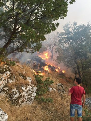 Incendio-Localita-FIeste-26.08.2017-6