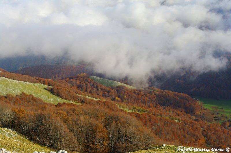 escursione-monte-cervialto-in-autunno-201200030