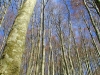 escursione-monte-cervialto-in-autunno-201200011