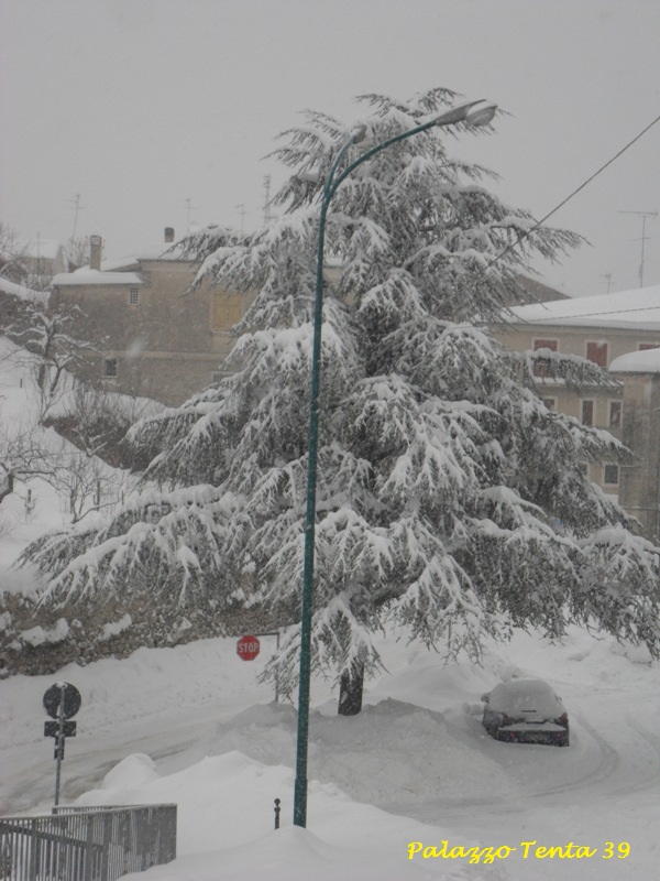 Bagnoli-Irpino-Nevicata-Febbr2012-GTammaro-33