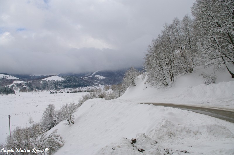 lago-laceno-nevicata-11-febbraio-2012i00016