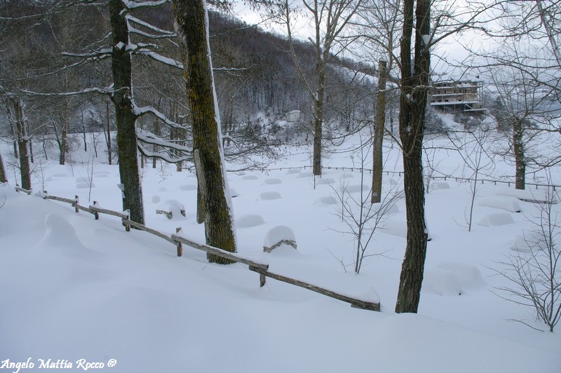 lago-laceno-nevicata-11-febbraio-2012i00020
