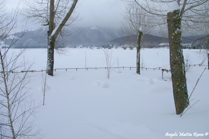 lago-laceno-nevicata-11-febbraio-2012i00021
