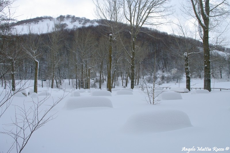 lago-laceno-nevicata-11-febbraio-2012i00023