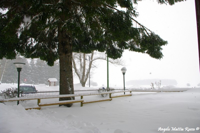 lago-laceno-nevicata-11-febbraio-2012i00029