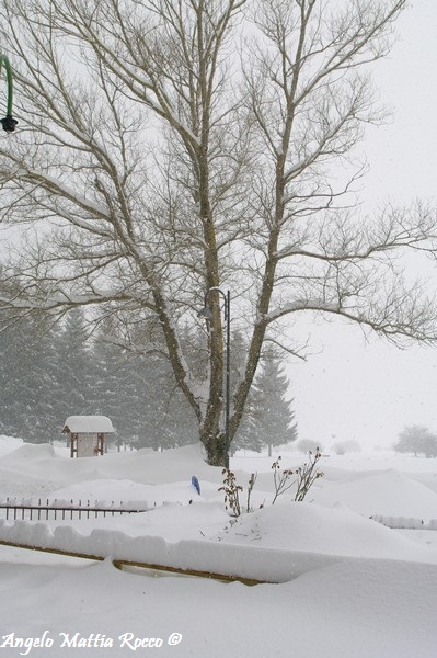 lago-laceno-nevicata-11-febbraio-2012i00037
