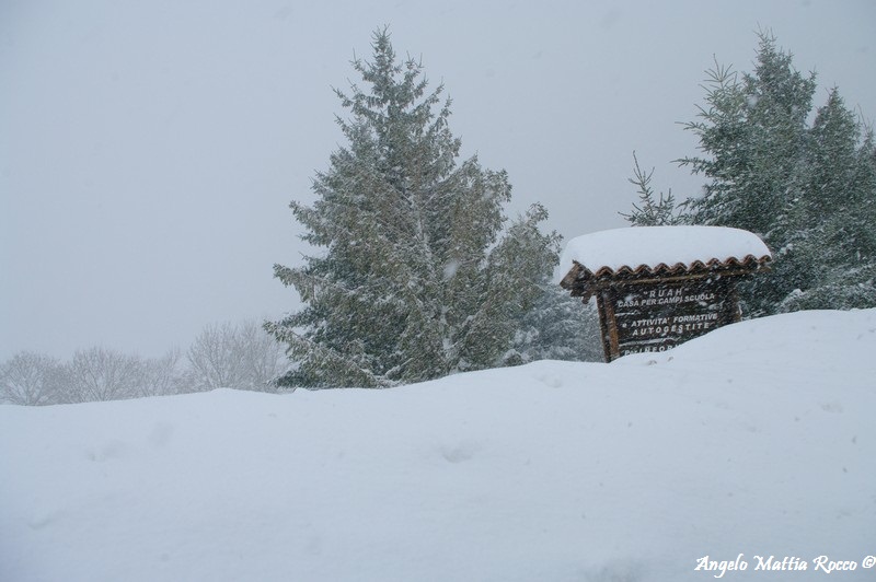 lago-laceno-nevicata-11-febbraio-2012i00042