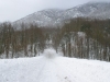 lago-laceno-nevicata-11-febbraio-2012i00004