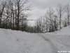 lago-laceno-nevicata-11-febbraio-2012i00006