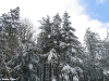 lago-laceno-nevicata-11-febbraio-2012i00013