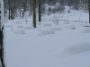 lago-laceno-nevicata-11-febbraio-2012i00022