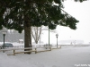 lago-laceno-nevicata-11-febbraio-2012i00029