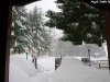 lago-laceno-nevicata-11-febbraio-2012i00030