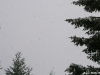 lago-laceno-nevicata-11-febbraio-2012i00032
