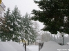 lago-laceno-nevicata-11-febbraio-2012i00034