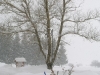 lago-laceno-nevicata-11-febbraio-2012i00037