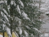 lago-laceno-nevicata-11-febbraio-2012i00038