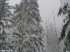 lago-laceno-nevicata-11-febbraio-2012i00041