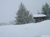 lago-laceno-nevicata-11-febbraio-2012i00042