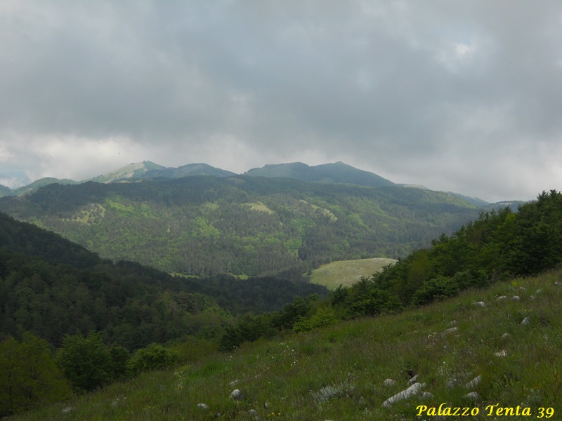 Escursione-Monte-Calvello-Laceno-2014-14