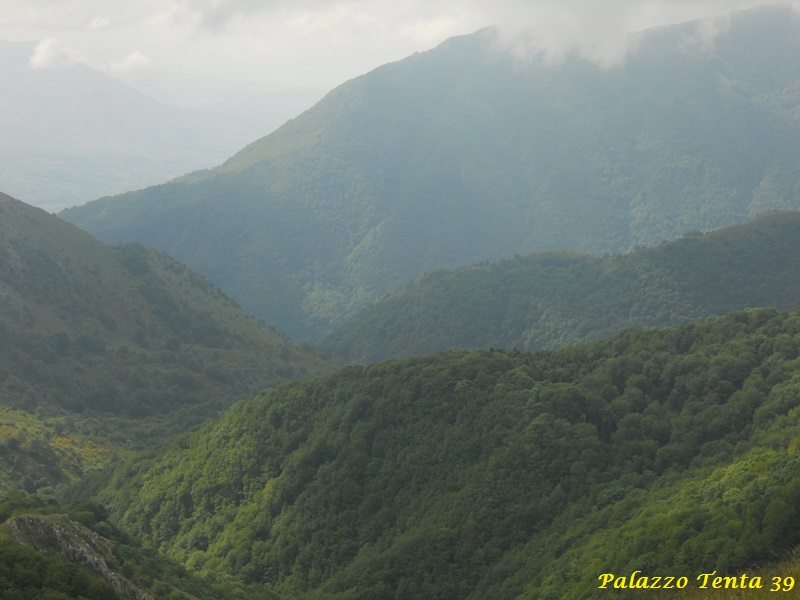 Escursione-Monte-Calvello-Laceno-2014-16