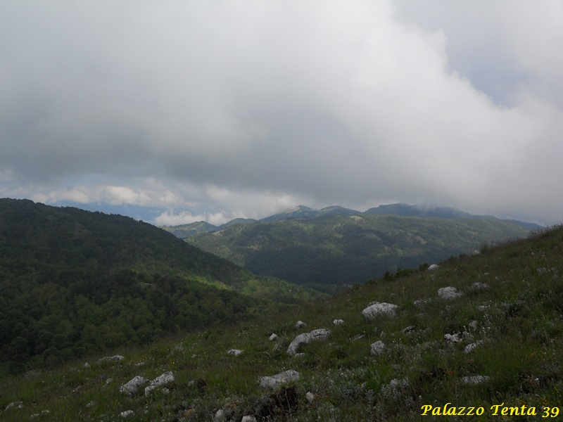 Escursione-Monte-Calvello-Laceno-2014-21