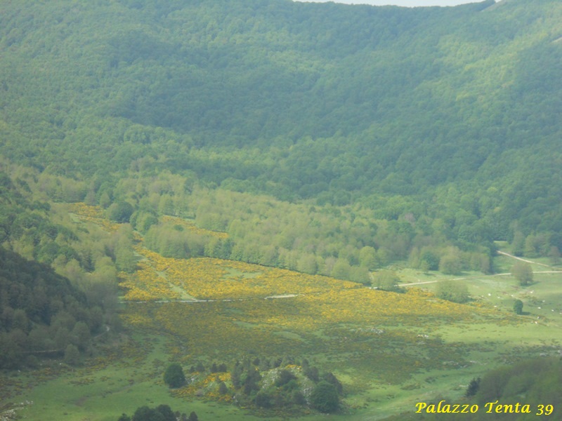 Escursione-Monte-Calvello-Laceno-2014-23