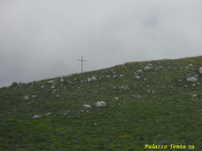 Escursione-Monte-Calvello-Laceno-2014-24