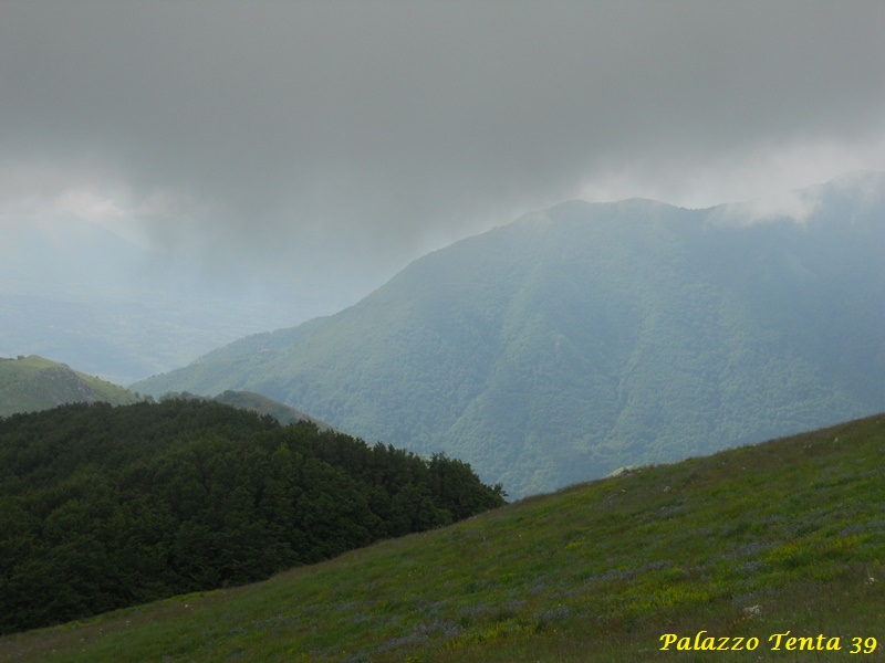 Escursione-Monte-Calvello-Laceno-2014-29