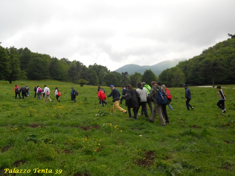 Escursione-Monte-Calvello-Laceno-2014-3