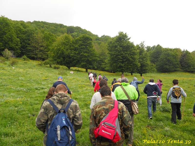 Escursione-Monte-Calvello-Laceno-2014-4