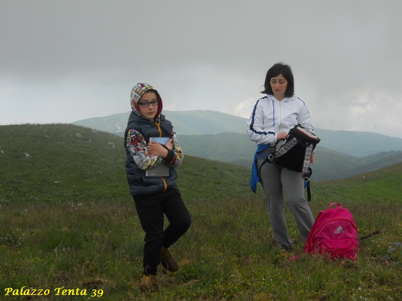 Escursione-Monte-Calvello-Laceno-2014-46