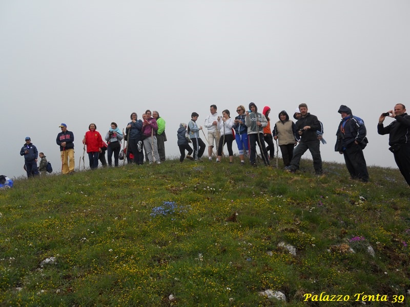 Escursione-Monte-Calvello-Laceno-2014-50