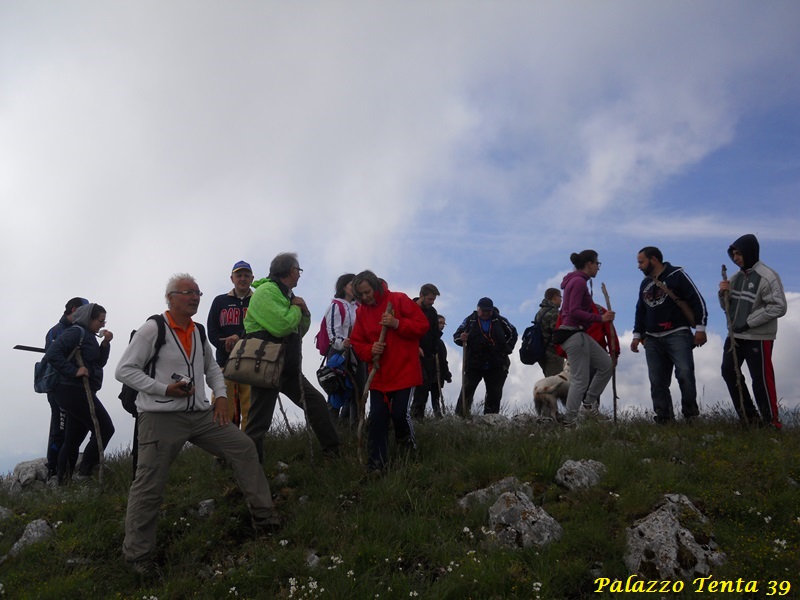 Escursione-Monte-Calvello-Laceno-2014-57
