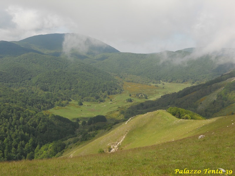 Escursione-Monte-Calvello-Laceno-2014-61