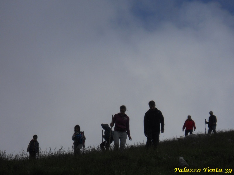 Escursione-Monte-Calvello-Laceno-2014-63