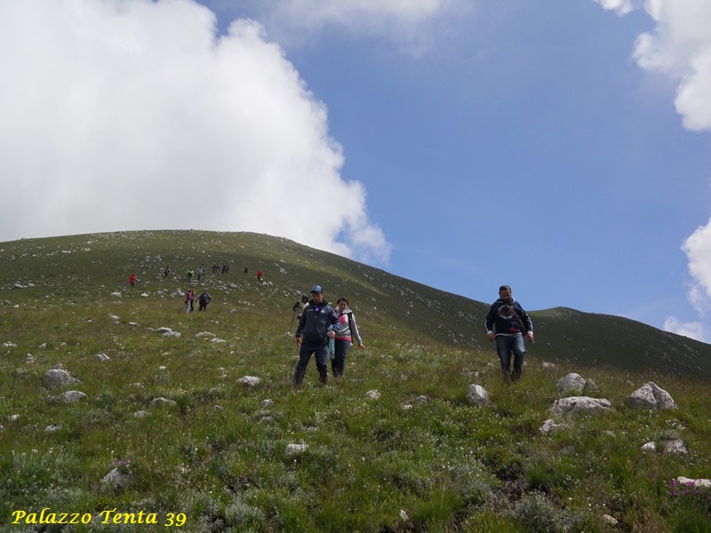 Escursione-Monte-Calvello-Laceno-2014-64