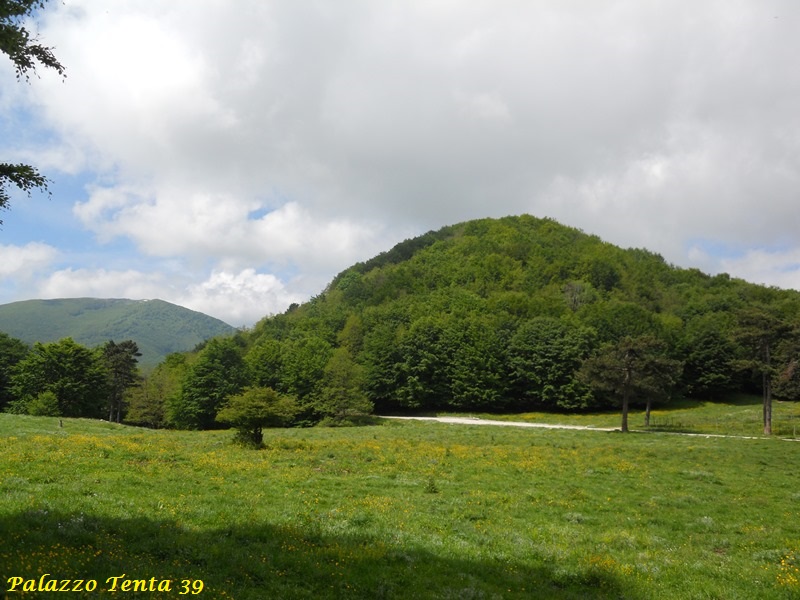 Escursione-Monte-Calvello-Laceno-2014-68