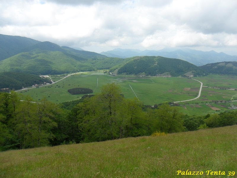 Escursione-Monte-Calvello-Laceno-2014-88