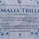 Amalia Trillo, vedova Palermo