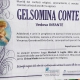 Gelsomina Conte, vedova Infante