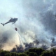 Emergenza incendi: revocato il divieto di bruciatura nei castagneti