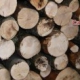 Bagnoli e Calabritto, danneggiamento boschivo e furto di legna: 3 denunce