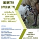 Incontro divulgativo “Benessere degli animali” (Misura 14 PSR Campania)