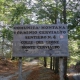 Estate 2011 a Laceno: le escursioni naturalistiche promosse da Girogustandocampania