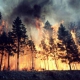 Rischio incendio: divieto combustione dei residui vegetali agricoli