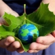 Bagnoli, anche per il 2015 certificazione per l’utilizzo di energia verde
