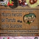 La Mostra mercato del tartufo estivo (“scorzone”) e 10ª Sagra del pecorino bagnolese