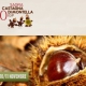 Montella, 30esima Sagra della Castagna IGP: 100 stand e prodotti irpini